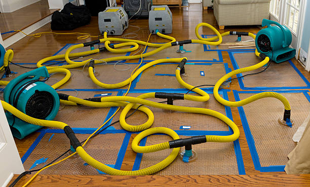 Professional Structural Drying And Dehumidification technician working in Urbana, MD
